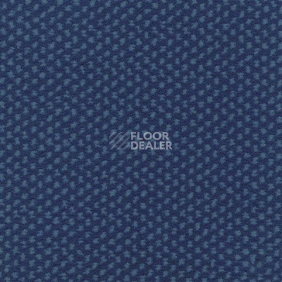 Ковролин Sintelon Podium 47913 фото 1 | FLOORDEALER
