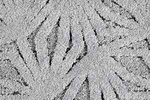 Ковролин Balta ITC Linosa 093 фото  | FLOORDEALER