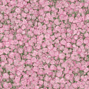 Линолеум Tarkett Fleur ROSE2  | FLOORDEALER