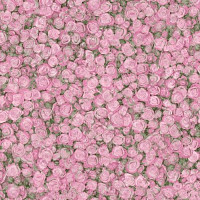 Линолеум Tarkett Fleur ROSE2 фото 1 | FLOORDEALER