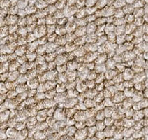 Ковролин Infloor Campo 830 фото 1 | FLOORDEALER