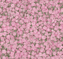 Линолеум Tarkett Fleur ROSE2 фото 1 | FLOORDEALER