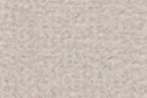 Ковролин Tapibel Casa 24841 фото  | FLOORDEALER