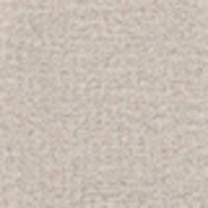 Ковролин Tapibel Casa 24841 фото 1 | FLOORDEALER