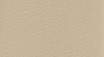 Линолеум Taraflex evolution Uni 6347_Beige фото 1 | FLOORDEALER