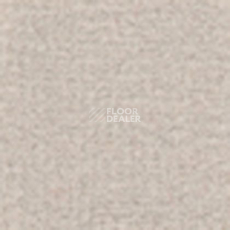 Ковролин Tapibel Casa 24841 фото 1 | FLOORDEALER