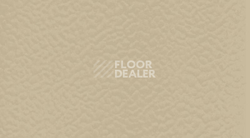 Линолеум Gerflor Taraflex evolution Uni 6347_Beige фото 1 | FLOORDEALER