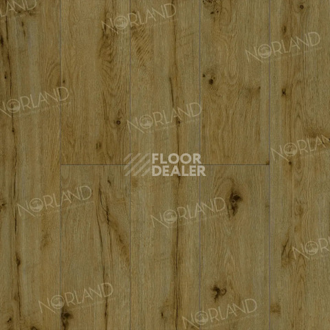 Ламинат Norland Elegant 8мм Дуб Скай LF301-14 фото 1 | FLOORDEALER