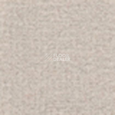 Ковролин Tapibel Casa 24841 фото 1 | FLOORDEALER