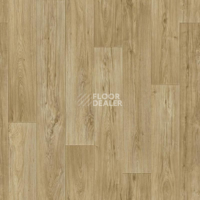 Линолеум Tarkett Комфорт KADET 3 фото 1 | FLOORDEALER