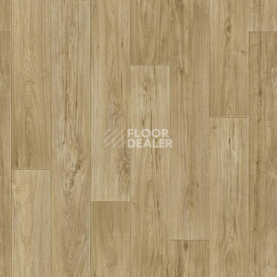 Линолеум Tarkett Комфорт KADET 3 фото 1 | FLOORDEALER