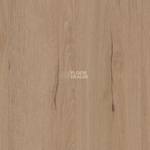 Ламинат Kronotex Robusto 12мм d81682 Harvest Oak Sand фото 1 | FLOORDEALER