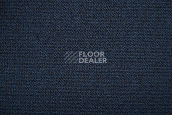 Standard Carpets Romeo Park 559 фото 2 | FLOORDEALER