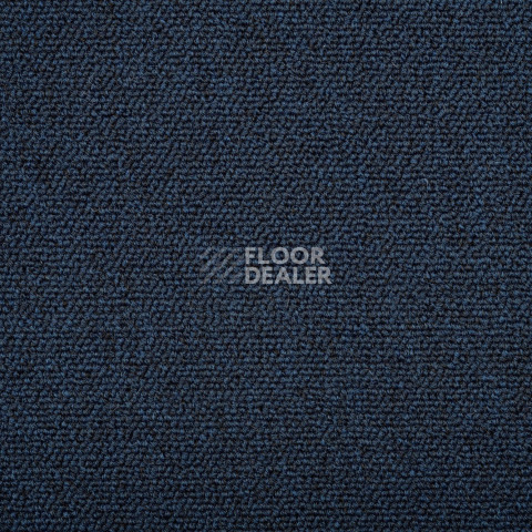 Standard Carpets Romeo Park 559 фото 2 | FLOORDEALER