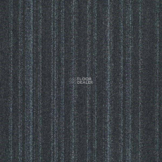 Interface Polichrome 7601_Anthracite фото 1 | FLOORDEALER