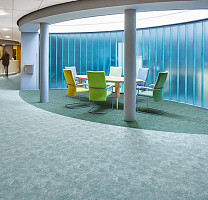 Flotex Colour s 290004 Calgary Menthol фото 2 | FLOORDEALER