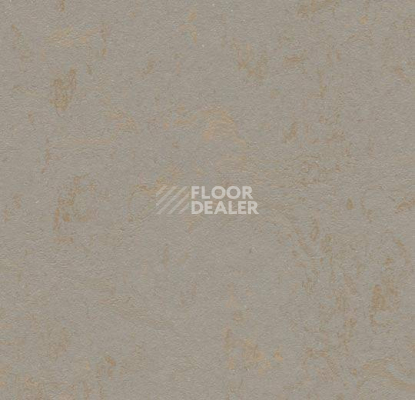 Линолеум Forbo Marmoleum Decibel 370635 beton фото 1 | FLOORDEALER