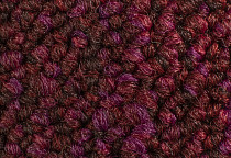 Desso Desert 4118 фото 3 | FLOORDEALER