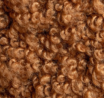 AW Masquerade Lamia 80 фото 3 | FLOORDEALER