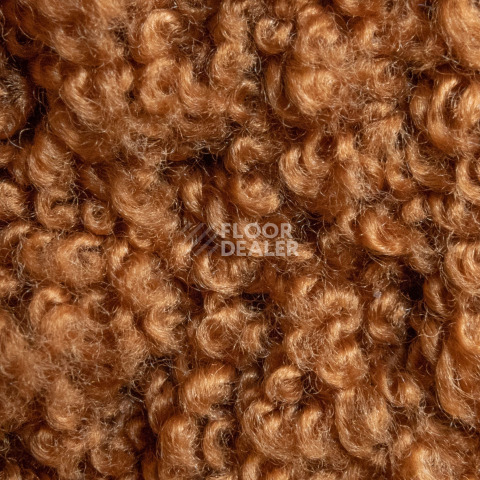AW Masquerade Lamia 80 фото 3 | FLOORDEALER