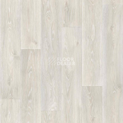 Линолеум Tarkett Eruption Spenser 6 фото 1 | FLOORDEALER