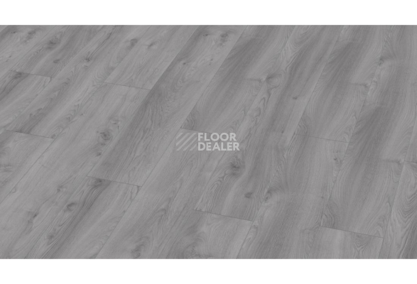 Ламинат Kronotex Mammut d3670 Дуб Макро Светло-серый фото 1 | FLOORDEALER