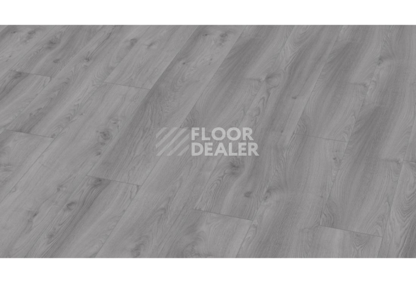 Ламинат Kronotex Mammut d3670 Дуб Макро Светло-серый фото 1 | FLOORDEALER