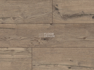 Ламинат Kronotex Robusto 12мм d80722 Дуб Пустыни Серый фото 1 | FLOORDEALER