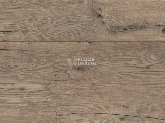 Ламинат Kronotex Robusto 12мм d80722 Дуб Пустыни Серый фото 1 | FLOORDEALER
