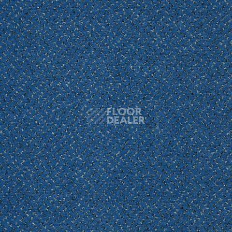 Ковролин Balta ITC Fortesse New 174 фото 1 | FLOORDEALER