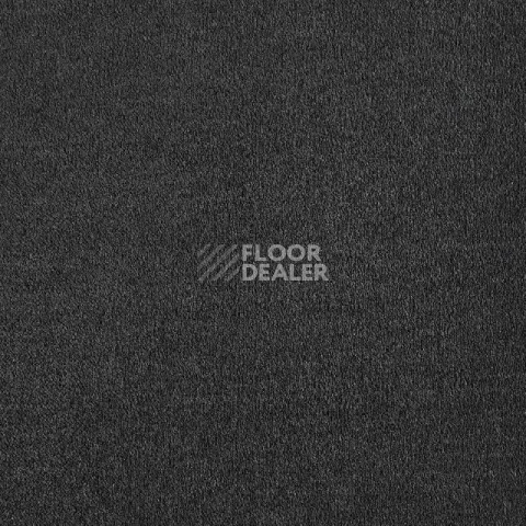 Ковролин Lano Lior 810 Charcoal фото 1 | FLOORDEALER