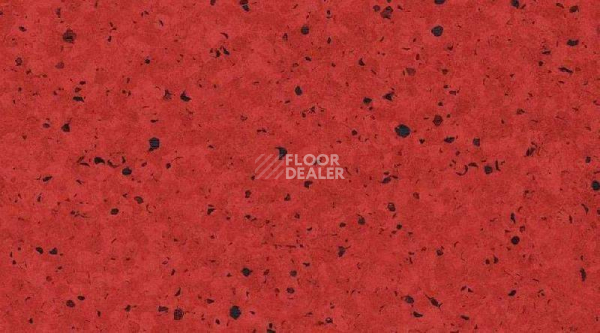 Кварцвиниловые полы  0336_Acerola фото 1 | FLOORDEALER