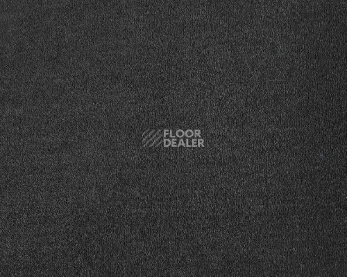 Ковролин Lano Lior 810 Charcoal фото 1 | FLOORDEALER