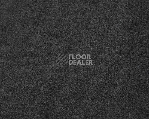 Ковролин Lano Lior 810 Charcoal фото 1 | FLOORDEALER