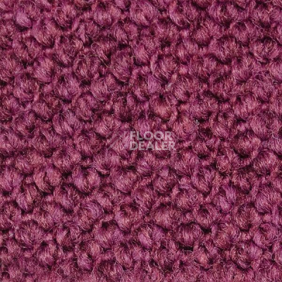 Ковролин Carpet Concept Eco Cut 9272 фото 1 | FLOORDEALER