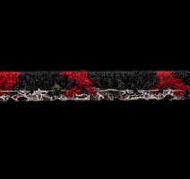 Innova Мираж q 492 05 фото 5 | FLOORDEALER