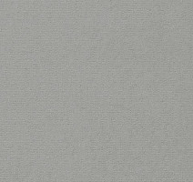 Ковролин Vorwerk Passion 1021 Vorwerk 5p97 фото 1 | FLOORDEALER