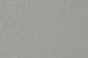 Ковролин Vorwerk Passion 1021 Vorwerk 5p97 фото  | FLOORDEALER