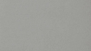 Ковролин Vorwerk Passion 1021 Vorwerk 5p97 фото 1 | FLOORDEALER