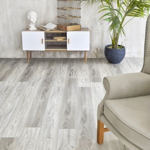 Alpine Floor Intense Шервудский лес ECO 9-10 фото 2 | FLOORDEALER