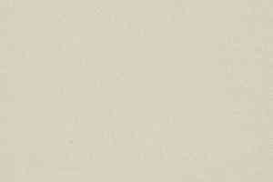 Ковролин Big Royale 307 фото  | FLOORDEALER