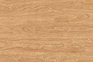 Линолеум Polyflor Camaro Wood 2217 фото  | FLOORDEALER