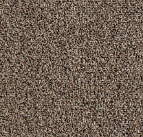 Грязезащитные покрытия Forbo Coral Go 2204 Havana Brown фото 1 | FLOORDEALER