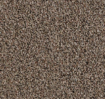 Грязезащитные покрытия Forbo Coral Go 2204 Havana Brown фото 1 | FLOORDEALER