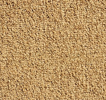 Ковролин Condor Crown Condor Crown  50 фото 1 | FLOORDEALER