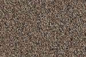 Грязезащитные покрытия Forbo Coral Go 2204 Havana Brown фото  | FLOORDEALER