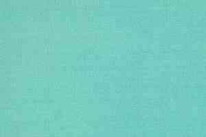 Ковролин Tapibel Casa 24873 фото  | FLOORDEALER