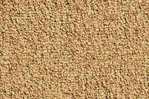 Ковролин Condor Crown Condor Crown  50 фото  | FLOORDEALER