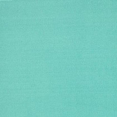 Ковролин Tapibel Casa 24873 фото 1 | FLOORDEALER