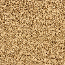 Ковролин Condor Crown Condor Crown  50 фото 1 | FLOORDEALER